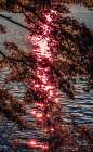 Colorful Lake Ashinoko, Hakone, Kanagawa, Japan. Art Print